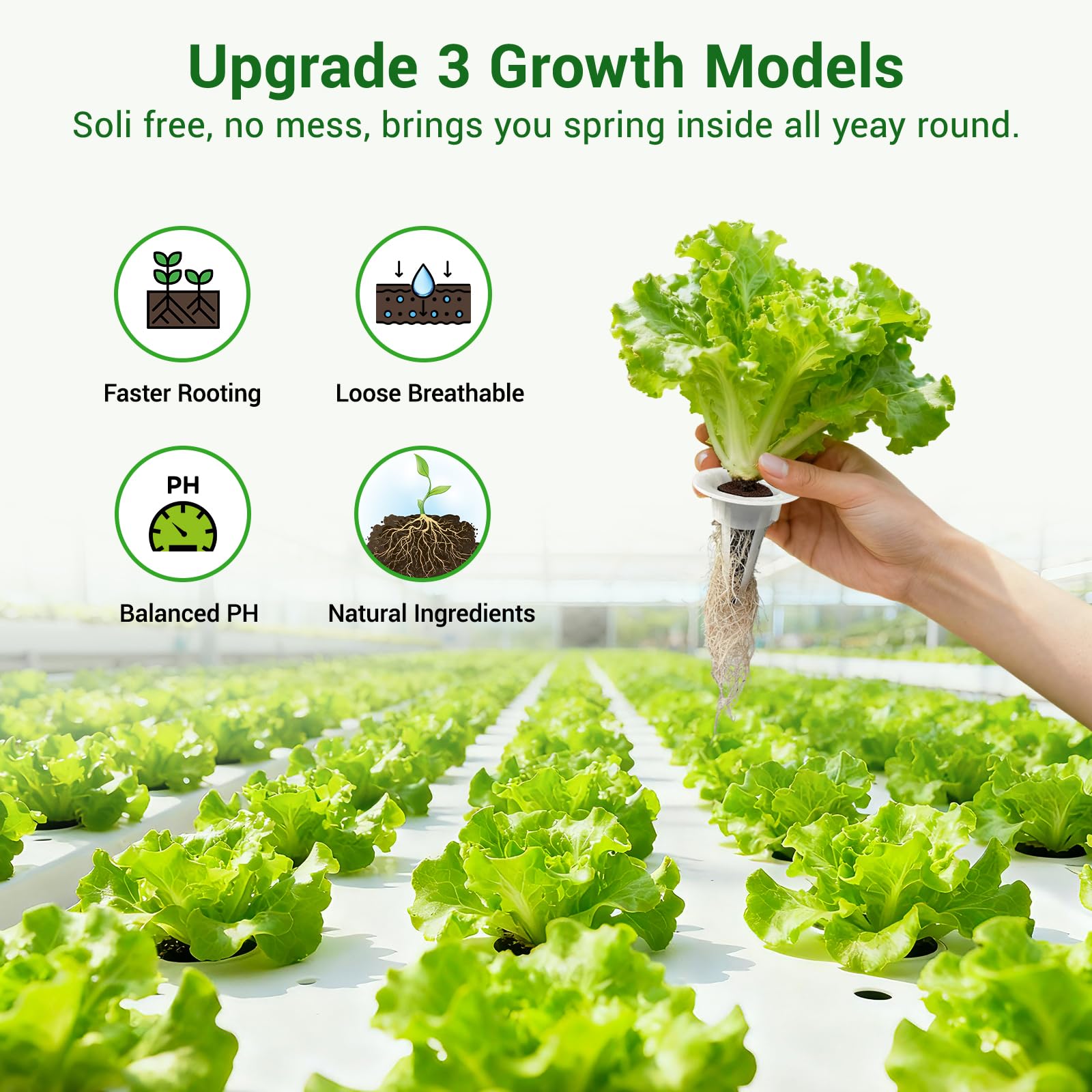 SIETAMIS hydroponic compatibility with grow tray demonstrates versatile setup
