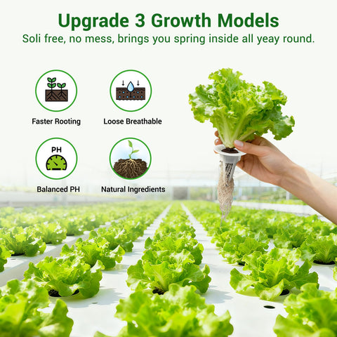 SIETAMIS hydroponic compatibility with grow tray demonstrates versatile setup