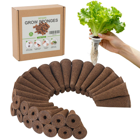 SIETAMIS grow sponge soaking scene shows ready-to-use seed pod for easy germination