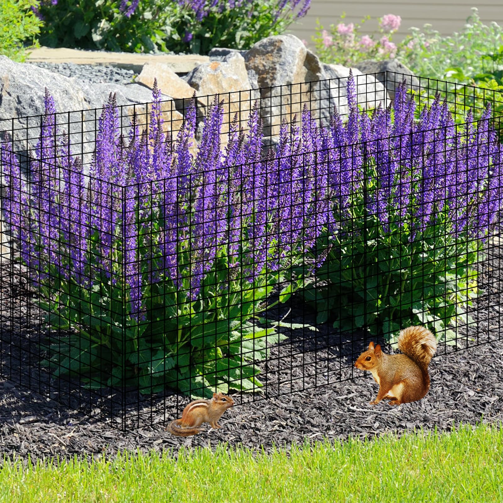 Sibosen twelve-by-twelve-inch plant protector shields seeds and small plants without blocking light.
