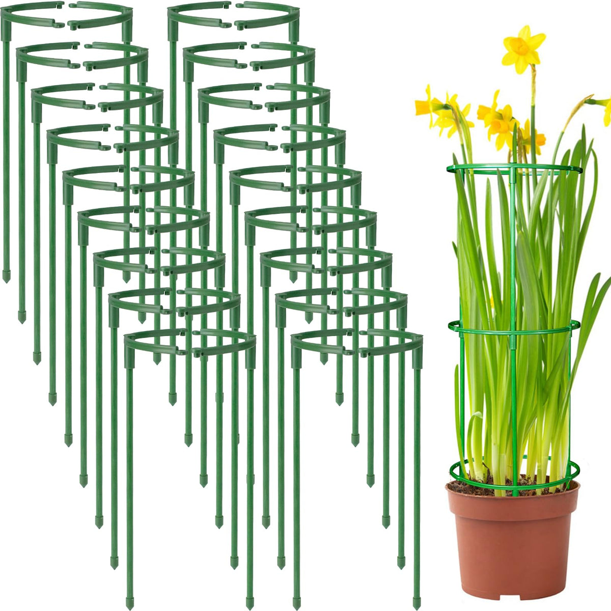 SIBRANT 36-pack plant stake half-round supports upright growth for potted plants.
