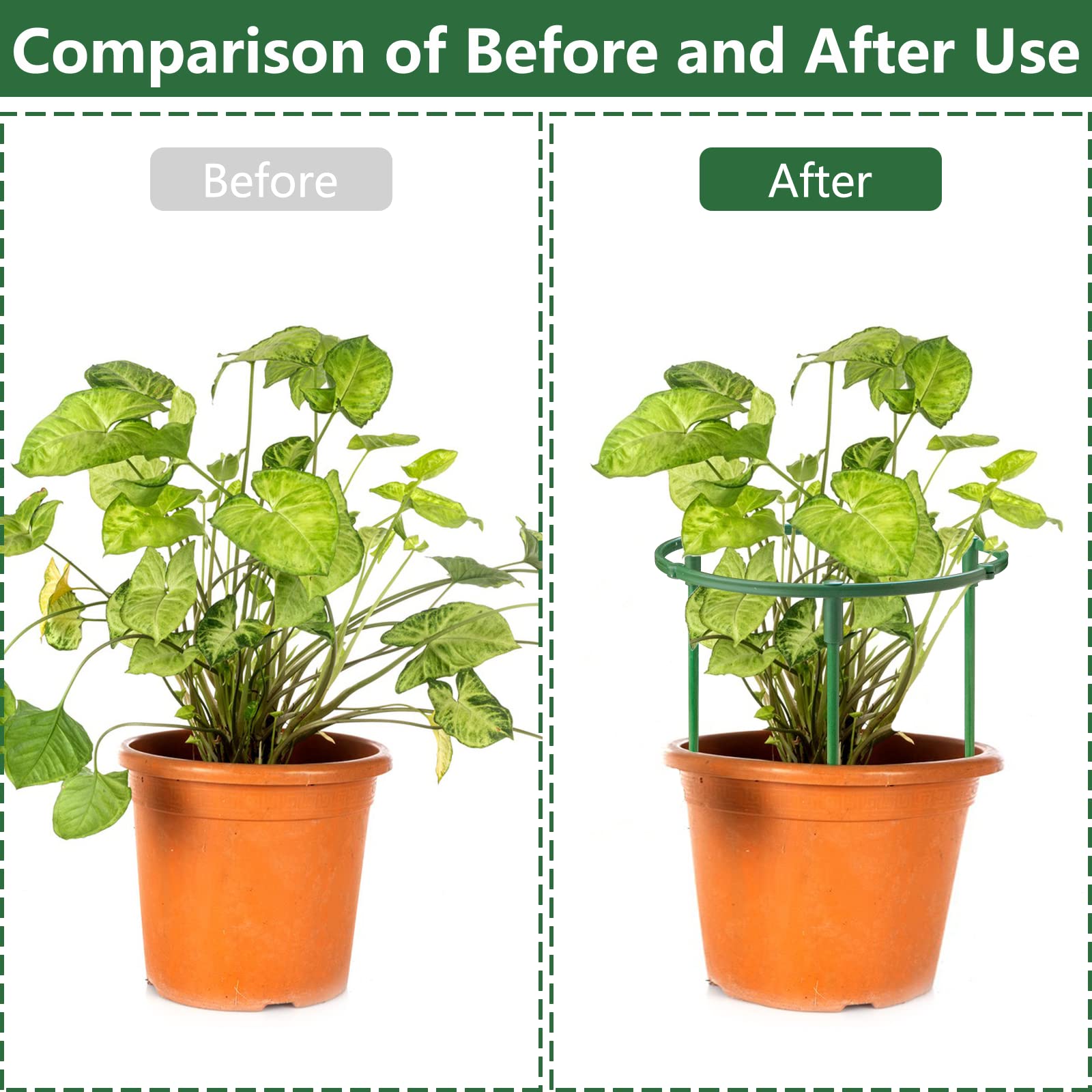 SIBRANT easy-to-install garden stakes insert into soil to form a cage.