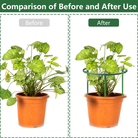 SIBRANT easy-to-install garden stakes insert into soil to form a cage.