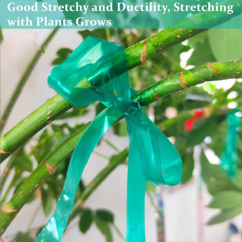 SICCOMA green garden tape offers sturdy support for tomatoes and vines outdoors.