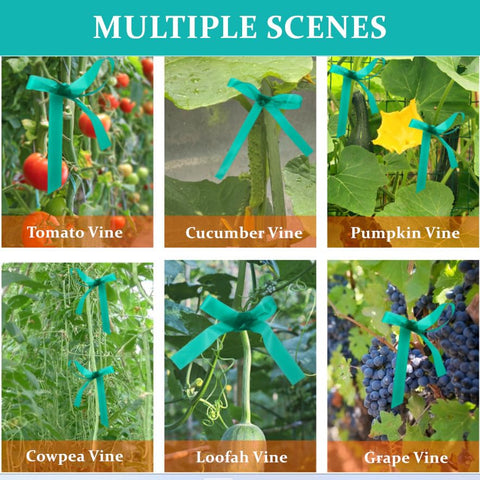 SICCOMA versatile garden tape ideal for training tomatoes, grapes, flowers, and trees.