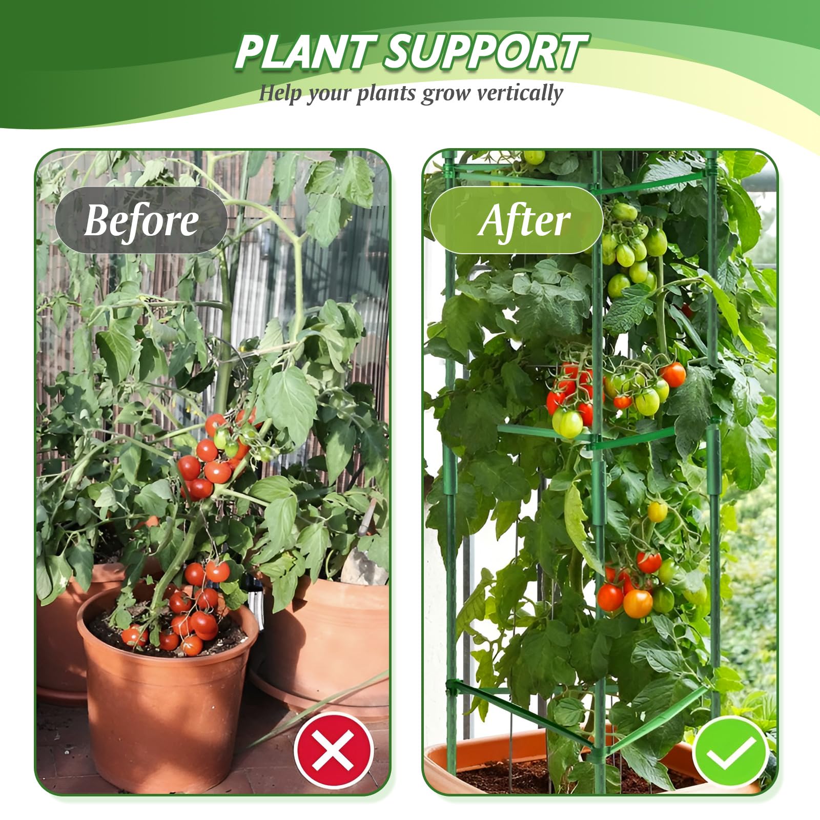 Sidefusi tomato cage ideal for balcony and garden use