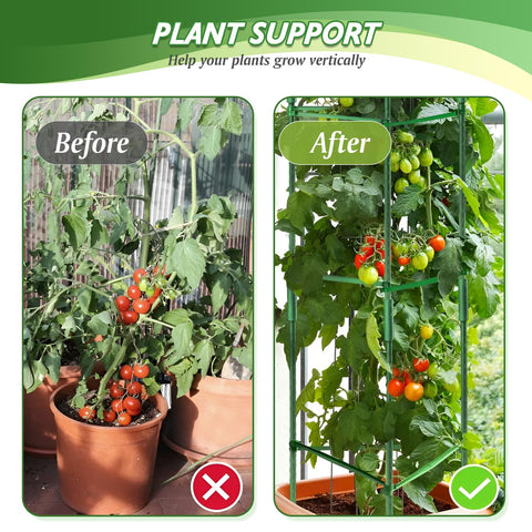 Sidefusi tomato cage ideal for balcony and garden use