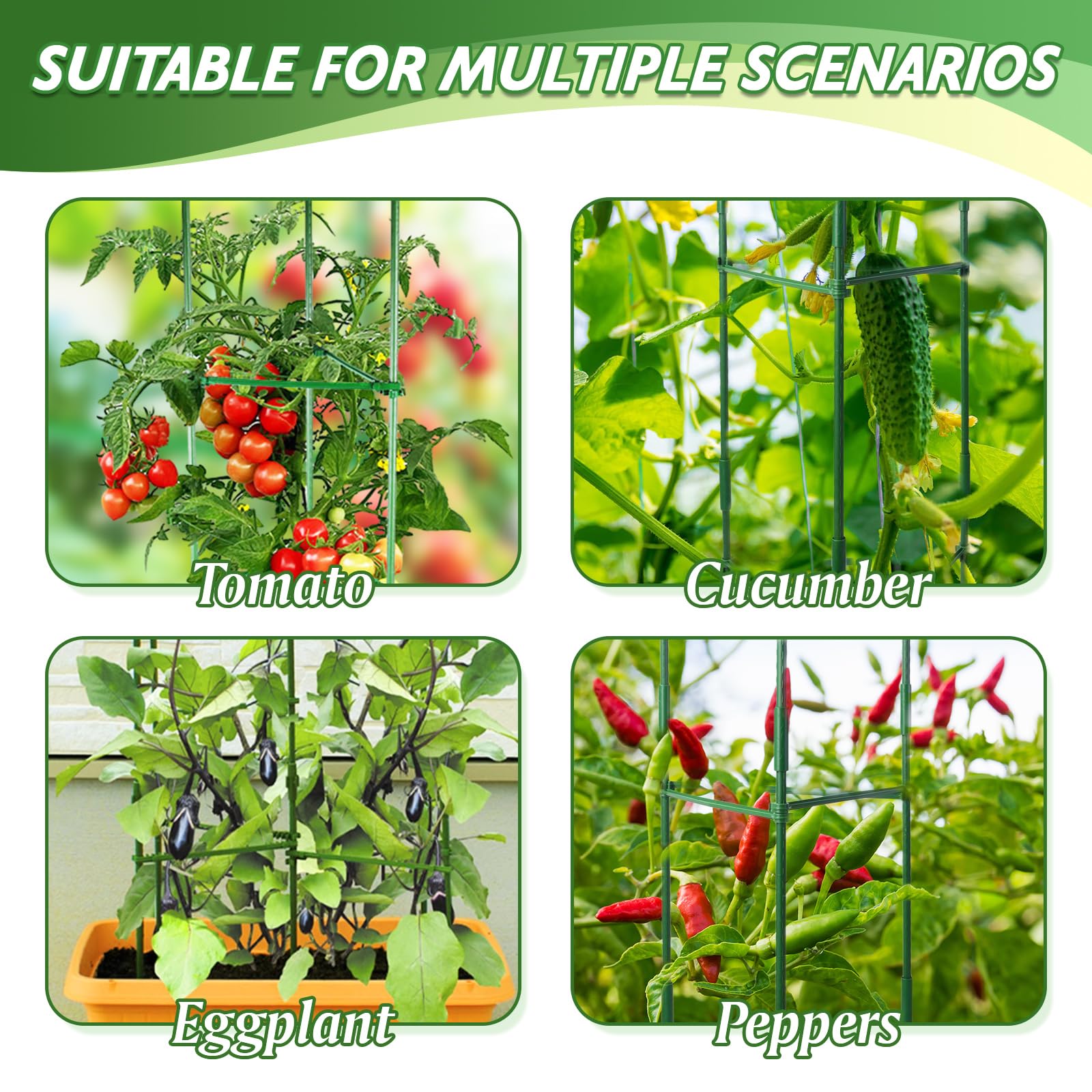 Sidefusi tomato cage in balcony garden setup