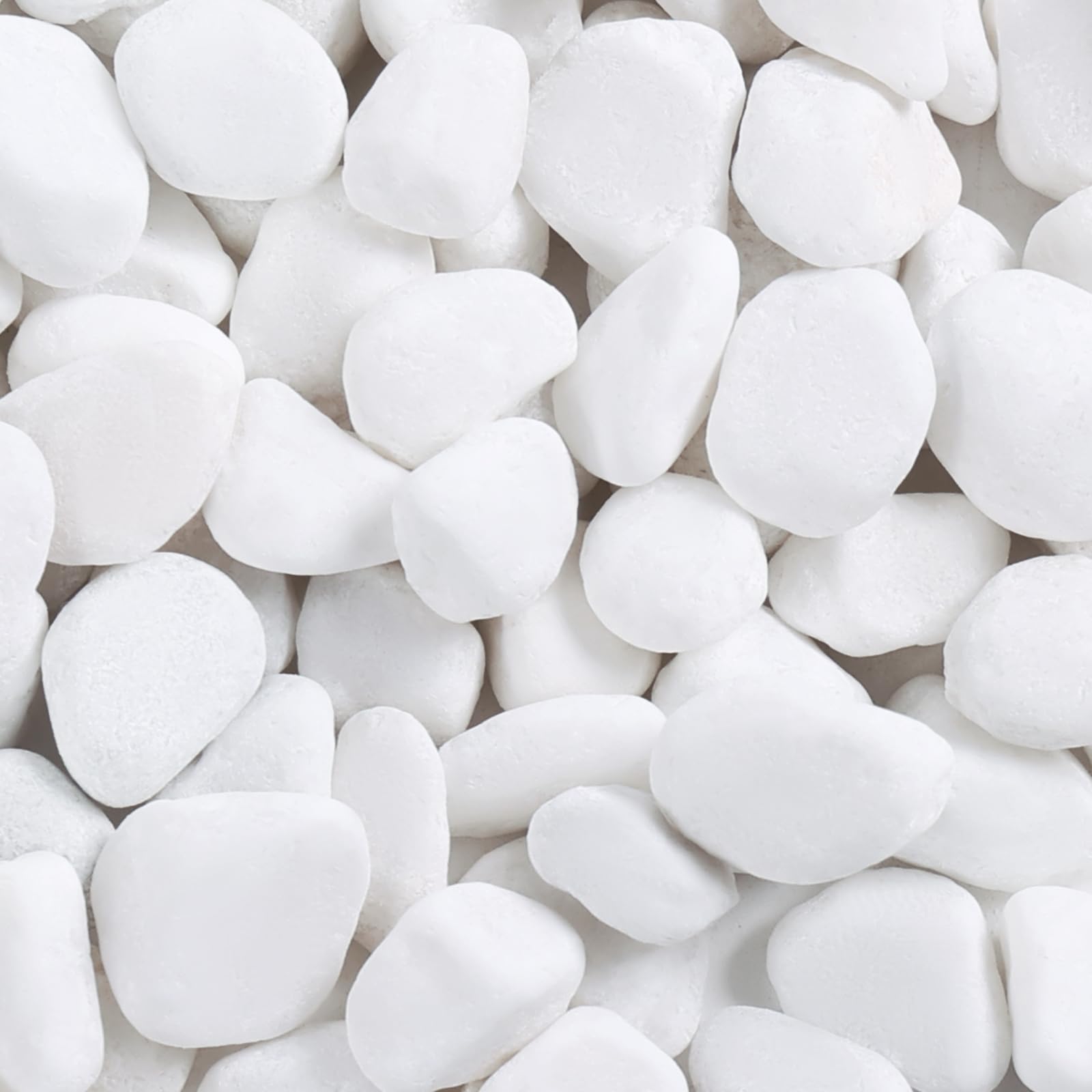 SIDONG 5lbs white river rocks—1-2 inch pebbles ideal for plant pots and terrariums.