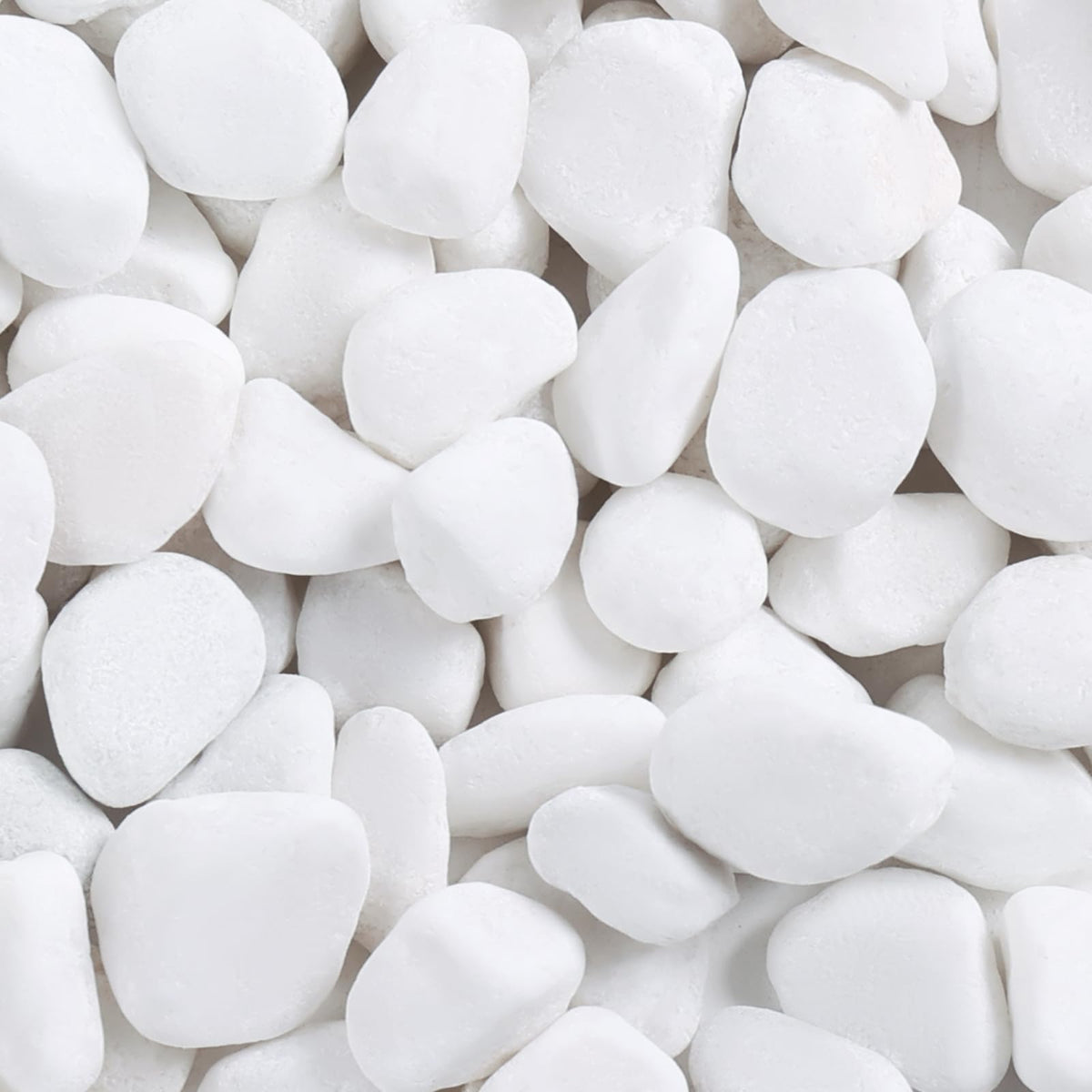 SIDONG 5lbs white river rocks—1-2 inch pebbles ideal for plant pots and terrariums.