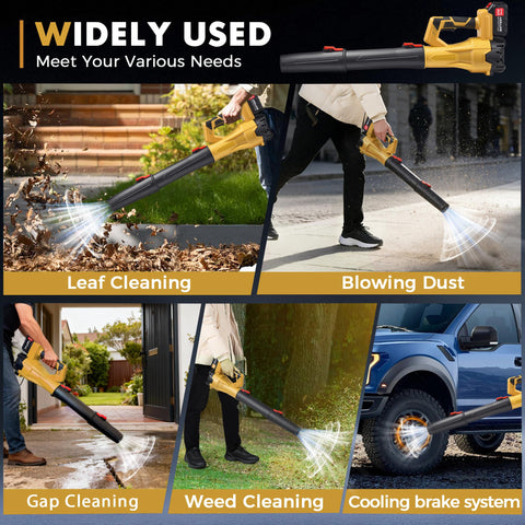 SIEARPUORL driveway and yard cleanup with effective debris clearance