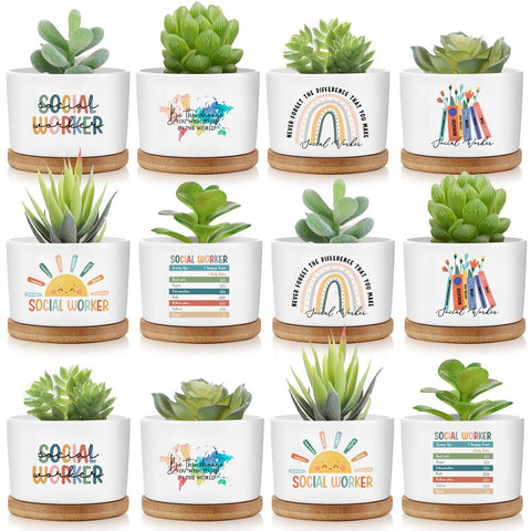 Sieral 12-pack succulent pots in ceramic for gift-ready desk decor.