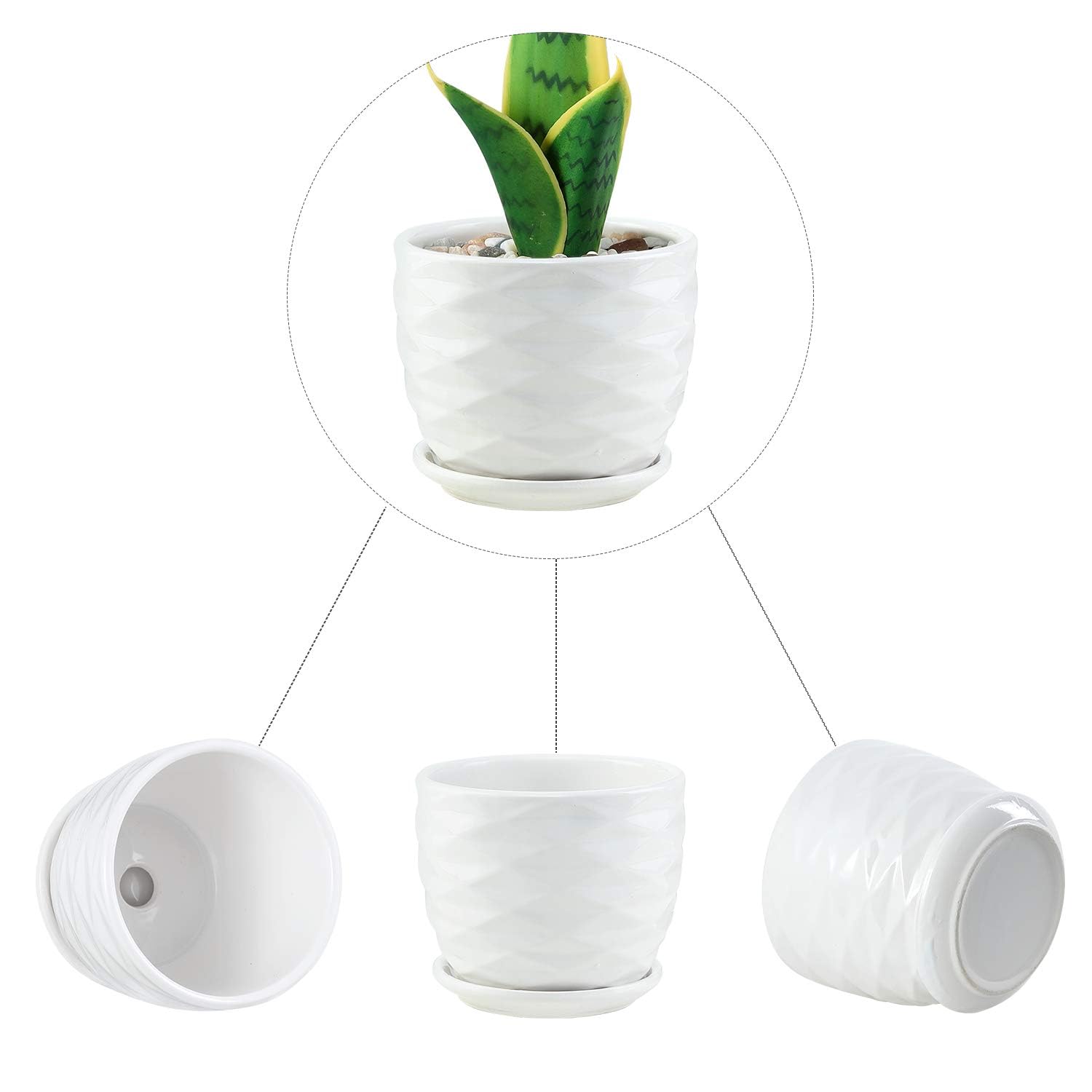 Sietpoek attached saucer planter showing water runoff protection on a clean surface