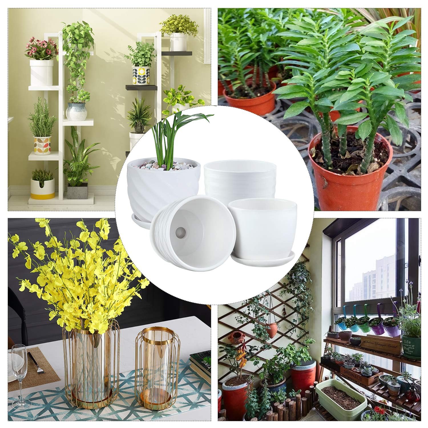 Sietpoek cylindrical pot with bottom drainage hole supporting plant growth