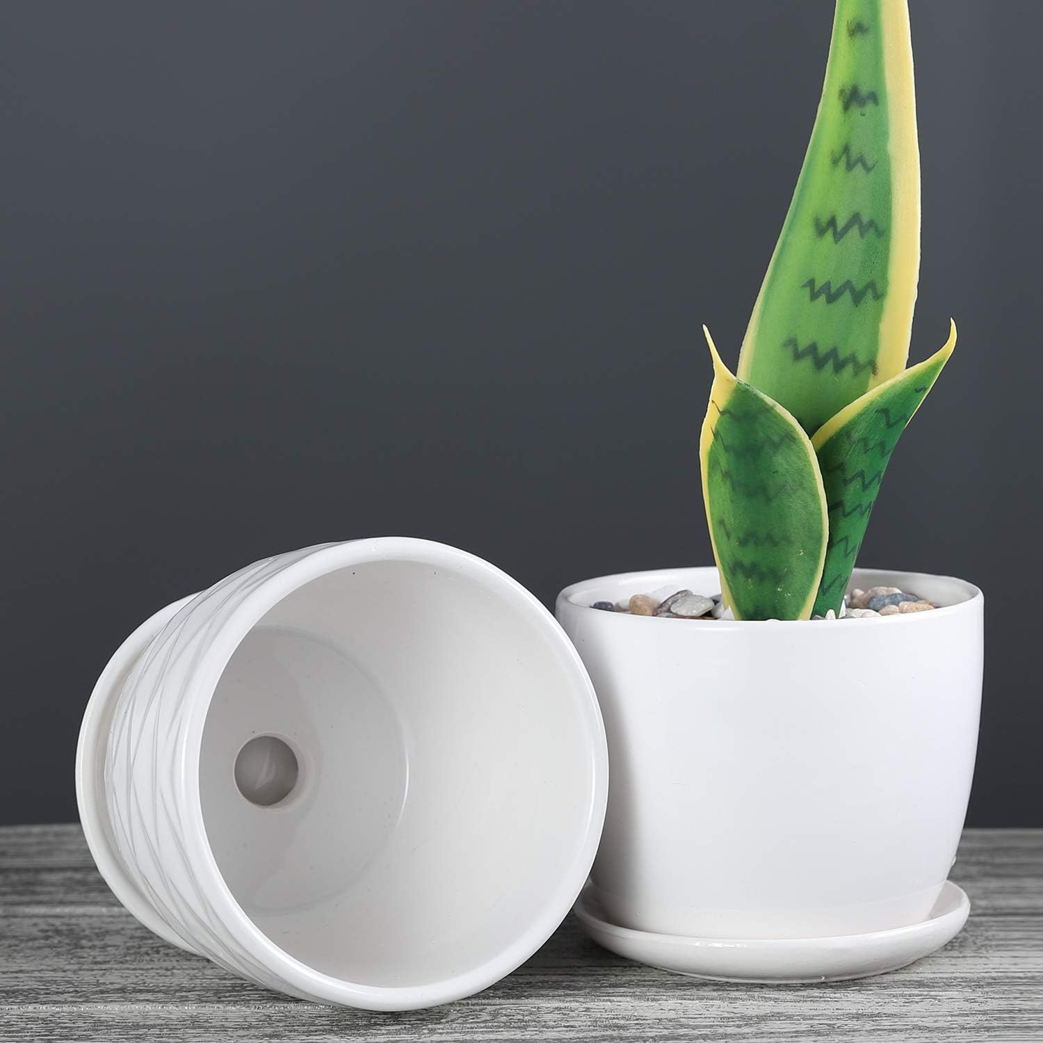 Sietpoek indoor planter in polished ceramic enhancing a desk setup