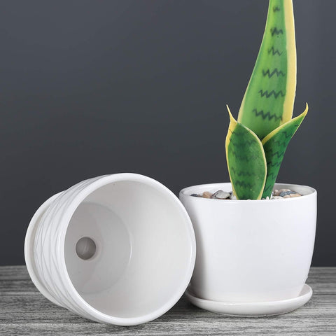 Sietpoek indoor planter in polished ceramic enhancing a desk setup