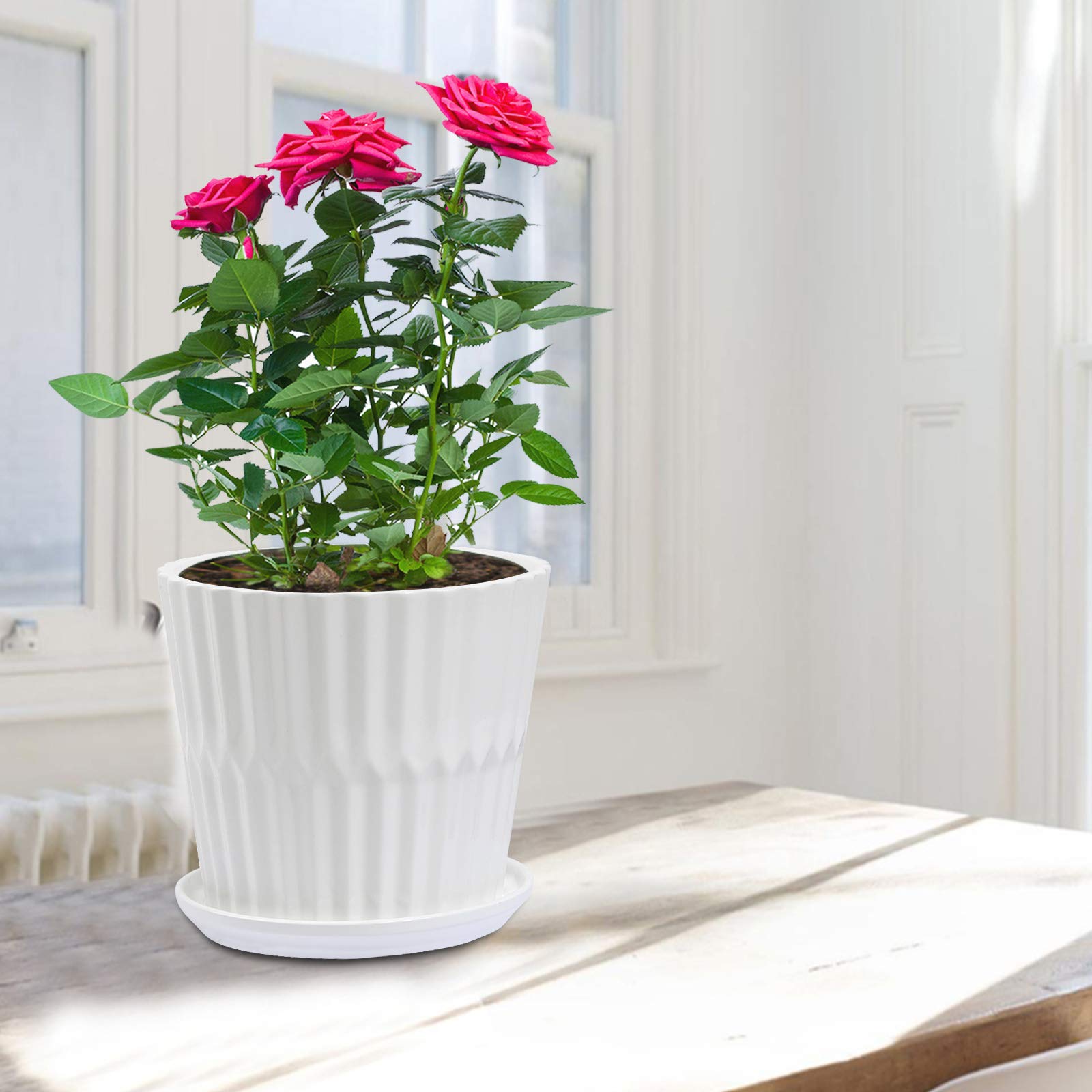Sietpoek kaolin ceramic finish on a modern planter