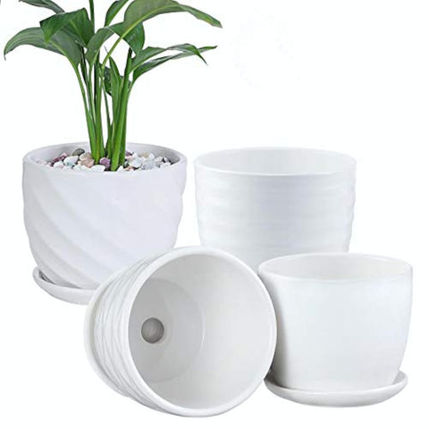 Sietpoek plant pot cylinder with white saucer on a sunny desk for small succulents