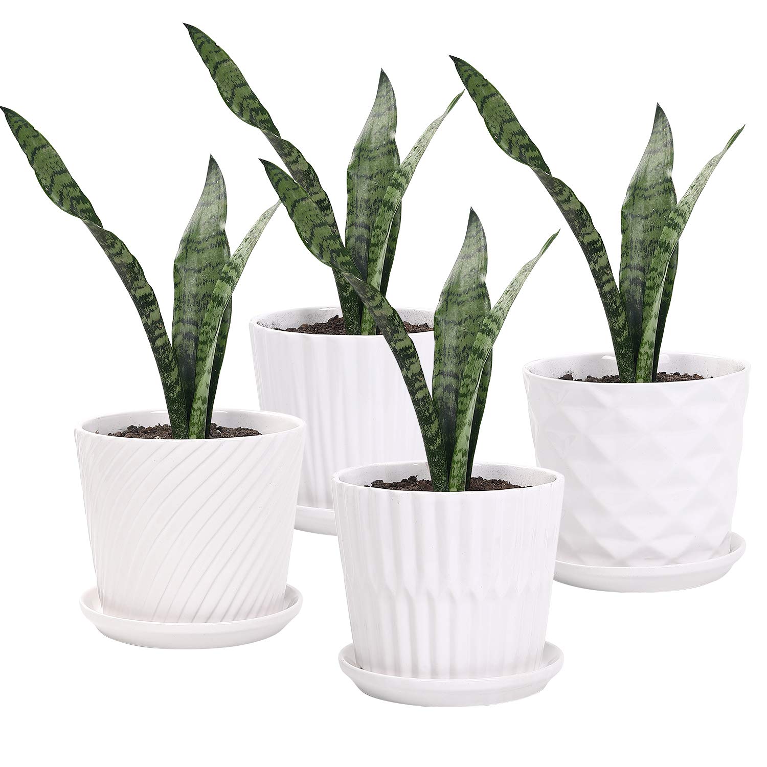 Sietpoek white cylindrical planter with attached saucer for clean drainage.