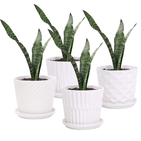 Sietpoek white cylindrical planter with attached saucer for clean drainage.