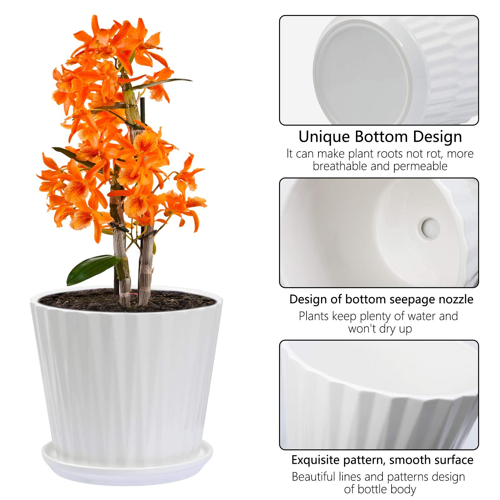Sietpoek succulent planter in 6.7-inch size for small arrangements