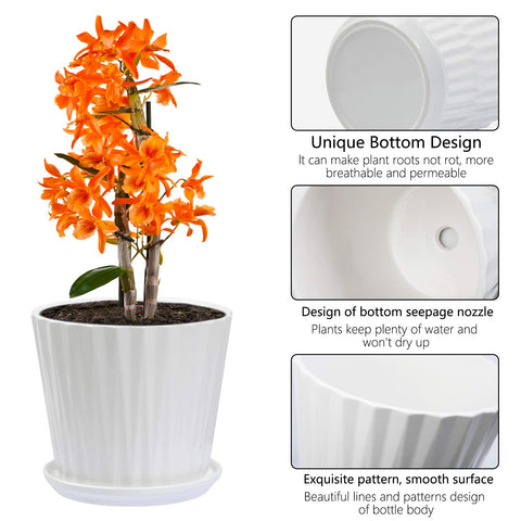 Sietpoek succulent planter in 6.7-inch size for small arrangements