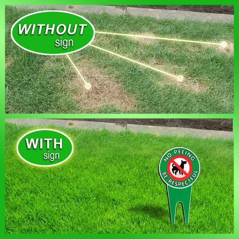 Signs Authority aluminum-dibond durability ensures long-term outdoor visibility