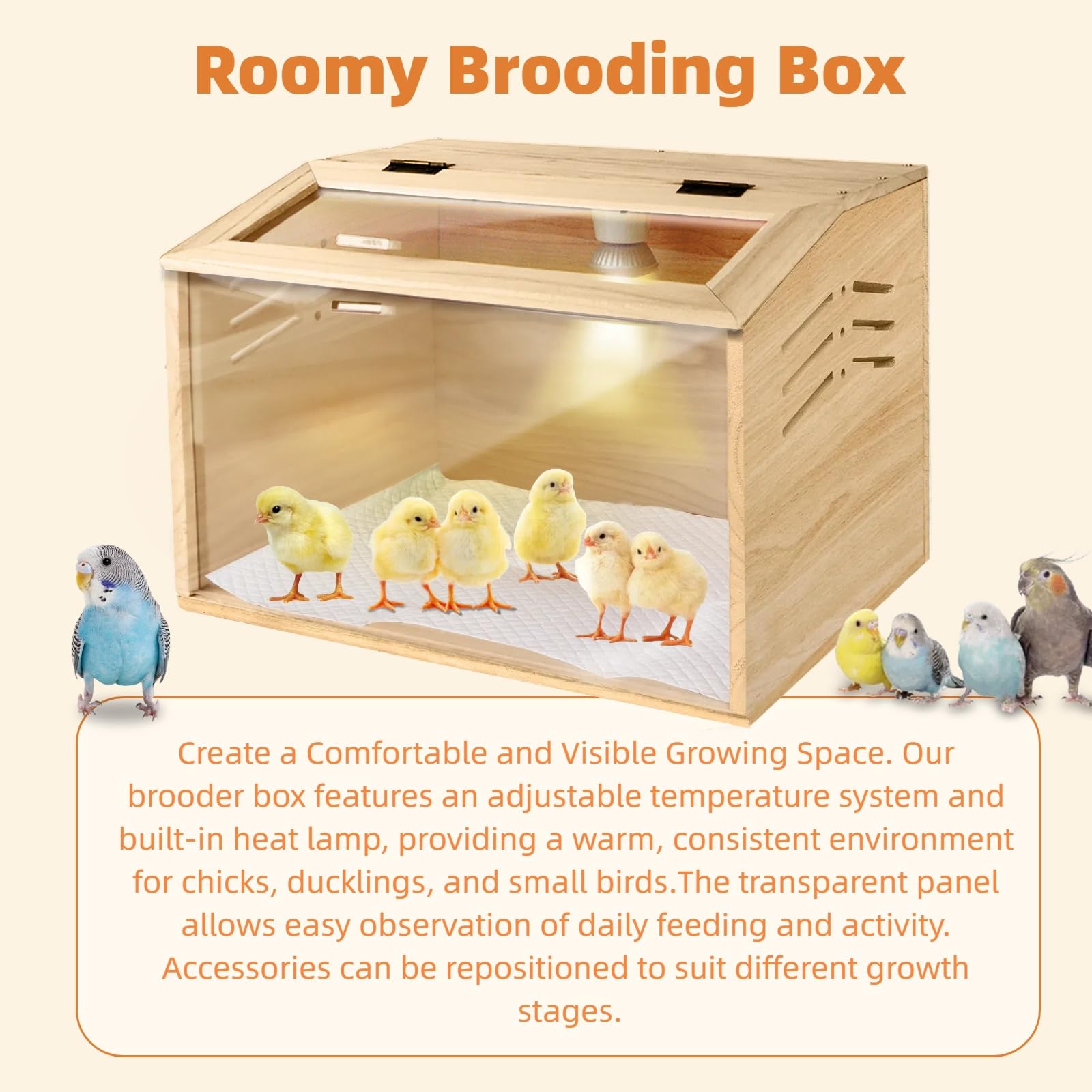 Silanit complete kit includes feeders, pads, thermometer for immediate use.