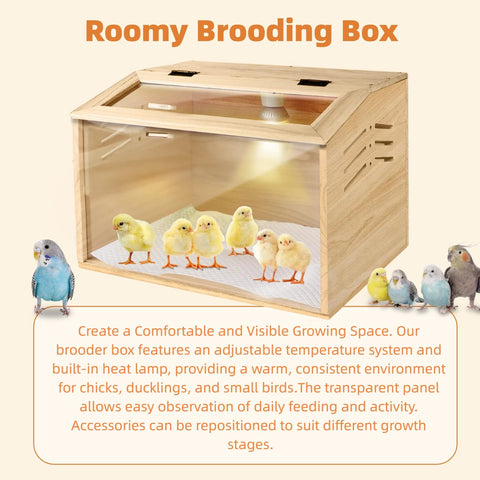 Silanit complete kit includes feeders, pads, thermometer for immediate use.