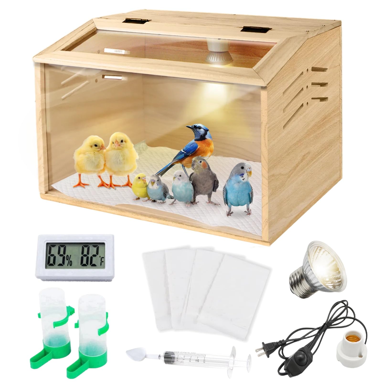 Silanit chick brooder box front panel for easy monitoring.