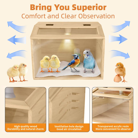 Silanit brooder kit interior is easy to clean and maintain.