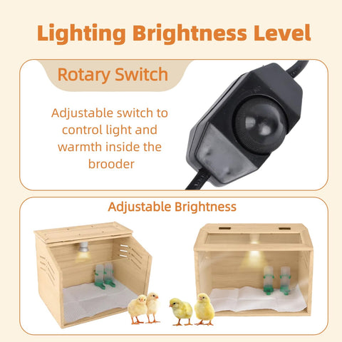 Silanit wood brooder with ventilation promotes healthy air flow for growing chicks.