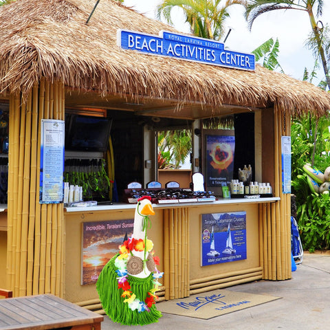Silicherry goose hula party theme evokes beach vibes for celebrations