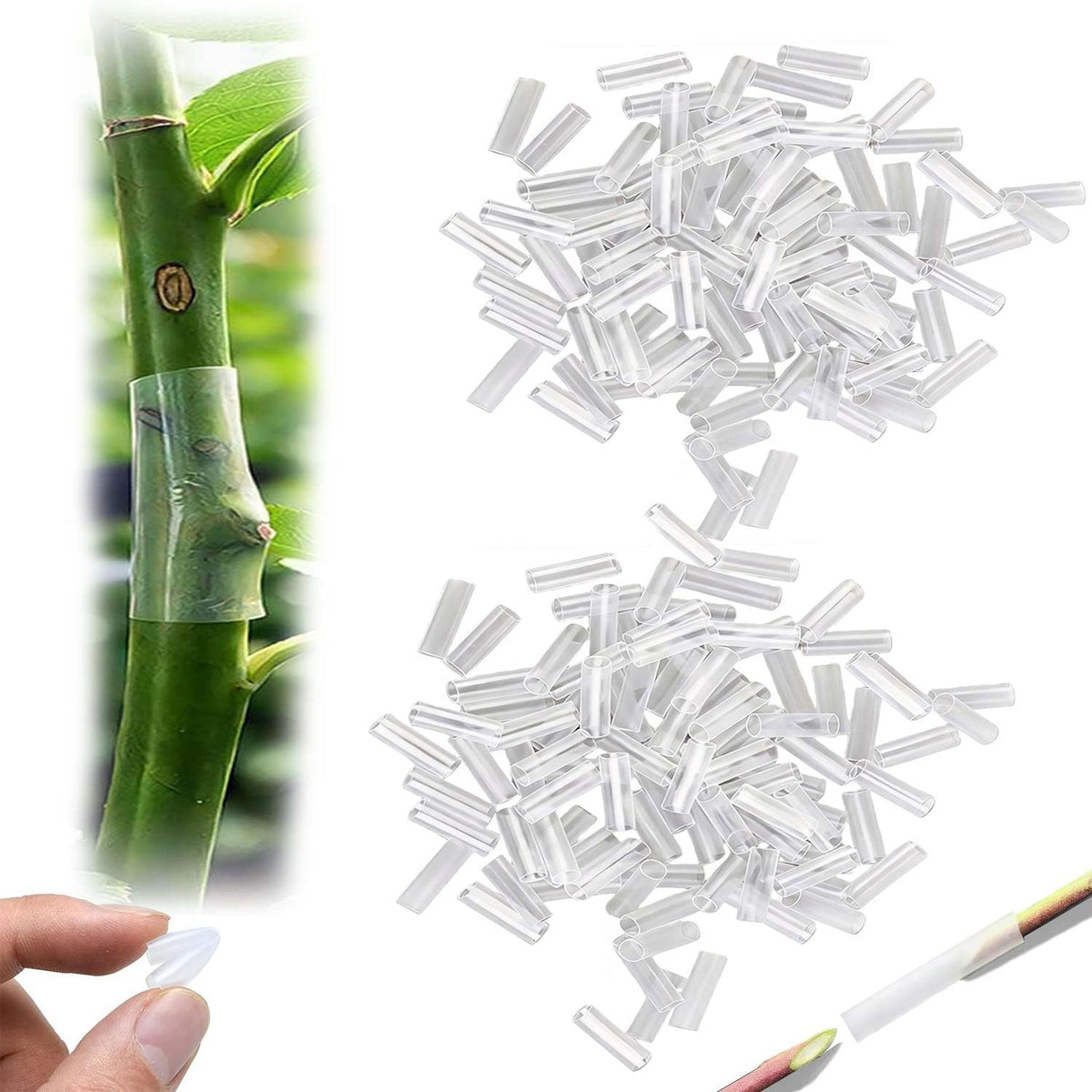 Silicone grafting sleeves for 3–7.5 mm diameter, secure cambium contact.