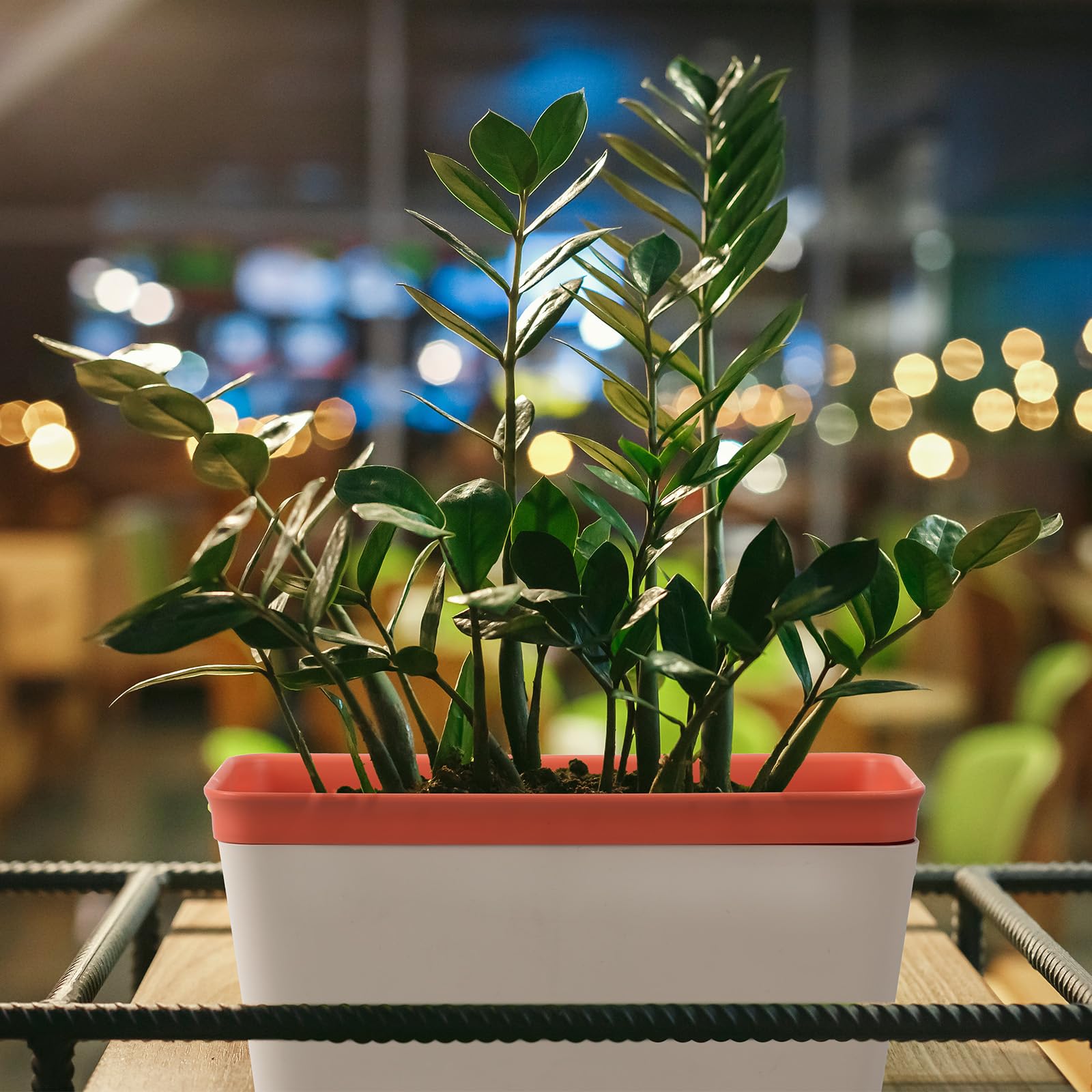 SiliFine indoor-outdoor planter is portable for any space.