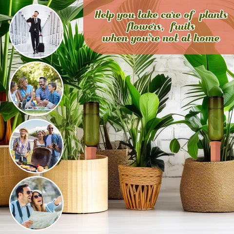 SiliFine versatile use for indoor, balcony, and outdoor plants.