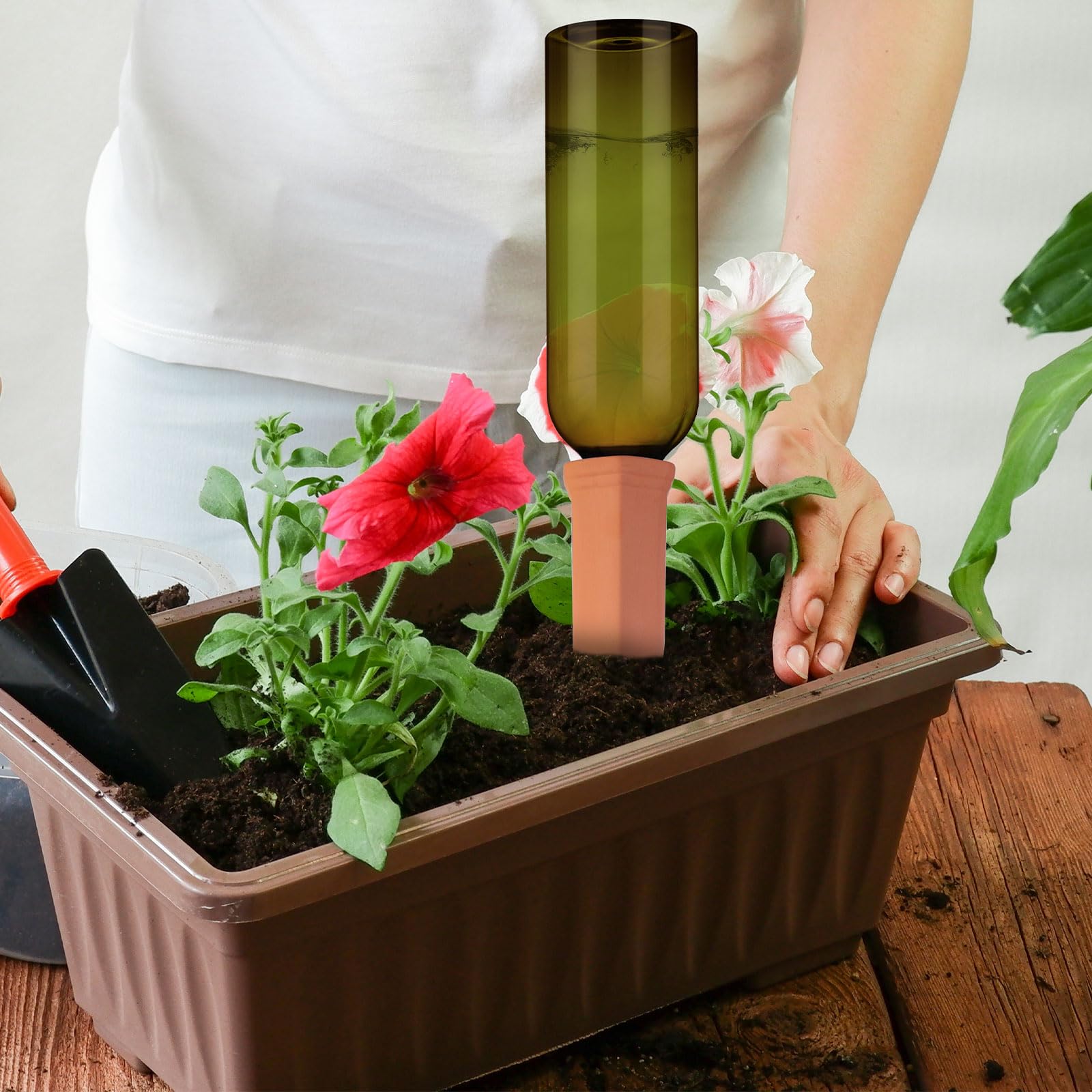 SiliFine plant watering set combining spike and bottle for care.