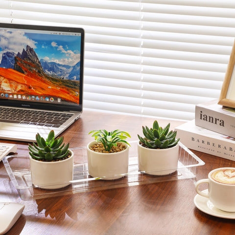 SiliFine rectangular saucer transparent design ideal for monitoring moisture and preventing spills.