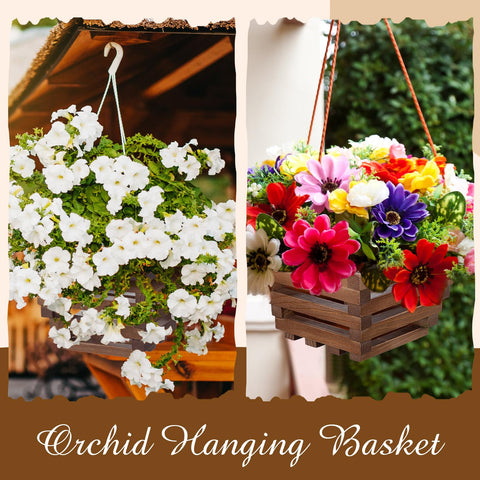SiliFine six-pack of hanging baskets offers versatile display options.