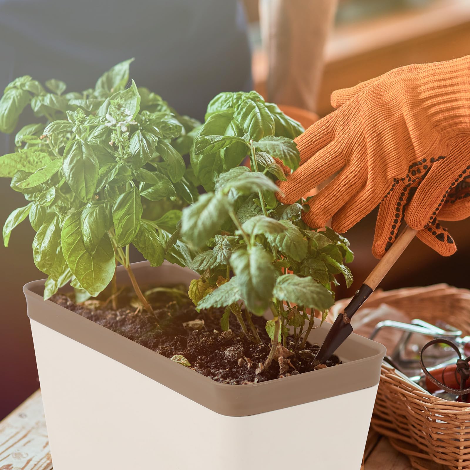 SiliFine succulent and vegetable planter supports easy transplanting.