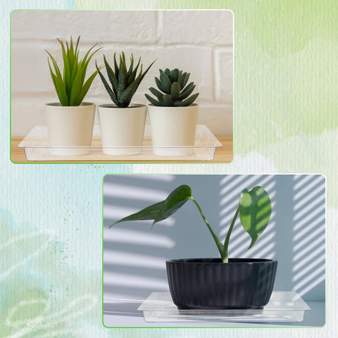 SiliFine drainage tray helps prevent soil spills and floor stains.