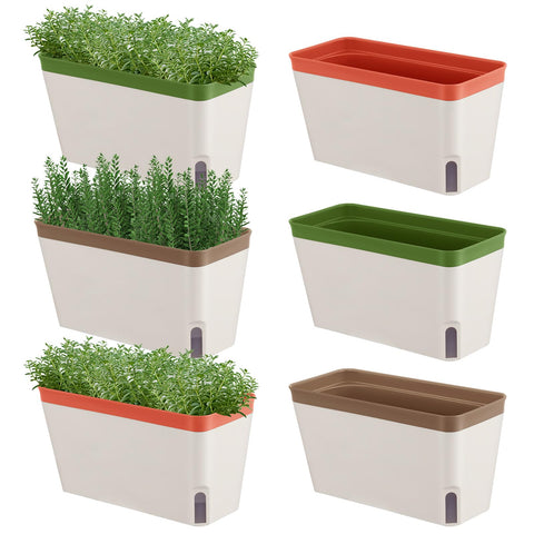 SiliFine window planter box 6-pack keeps herbs organized on the sill.