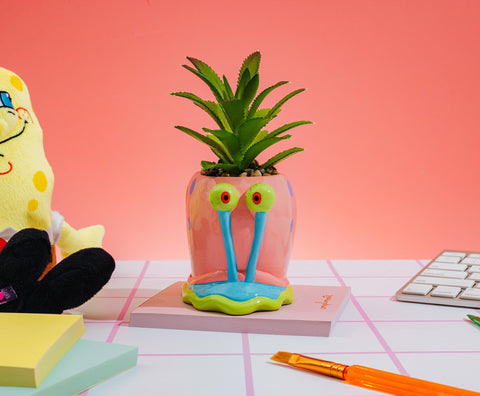 Compact Bikini Bottom decor piece brightening countertops.