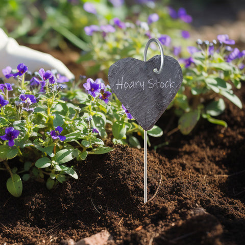Outdoor garden metal hooks offering durable labeling solutions