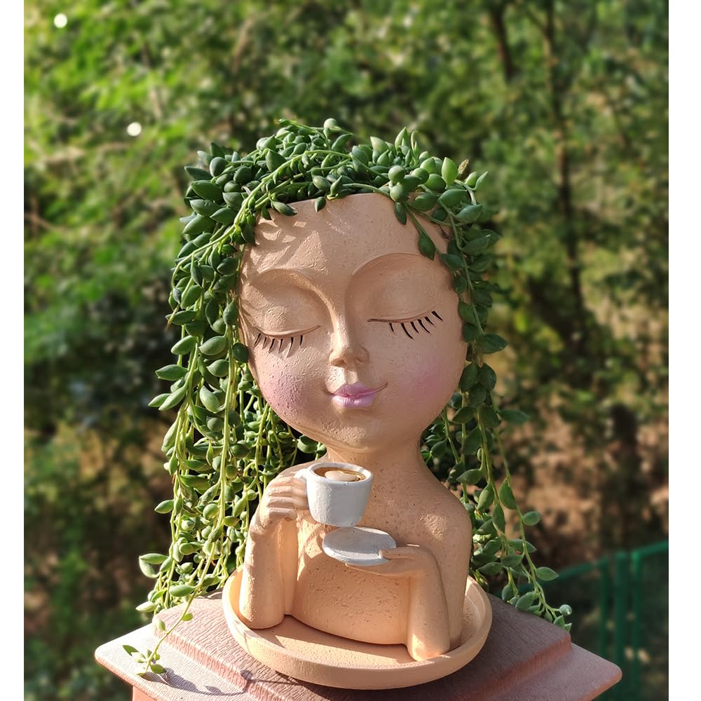 Simabsie face planter features a removable saucer to protect furniture.