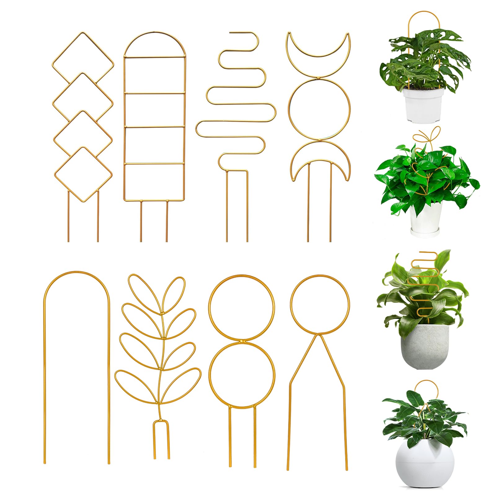 Simabsie gold metal wire trellis pattern 1 supports climbing plants while adding decorative height