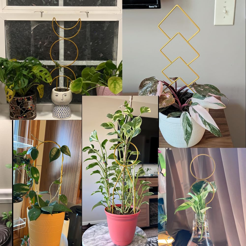 Simabsie gold metal wire trellis pattern 2 enhances pot decor while guiding vines