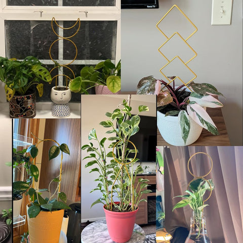 Simabsie gold metal wire trellis pattern 2 enhances pot decor while guiding vines
