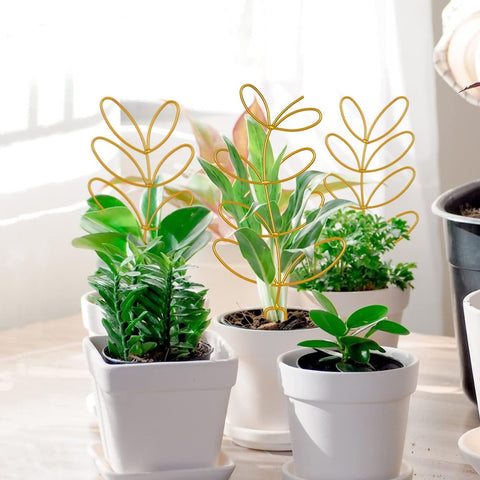 Simabsie gold metal wire trellis pattern 8 keeps vines tidy and upright in pots