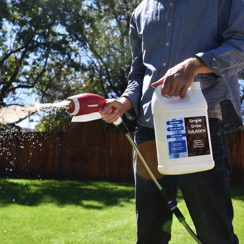 Bermuda turf benefits from Simple Lawn Solutions application during seasonal growth.